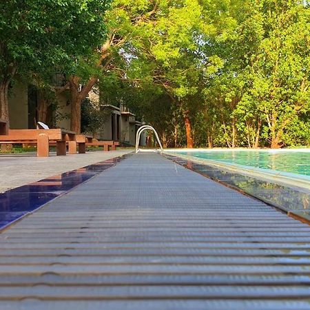 Magampura Eco Village Tissamaharama Buitenkant foto