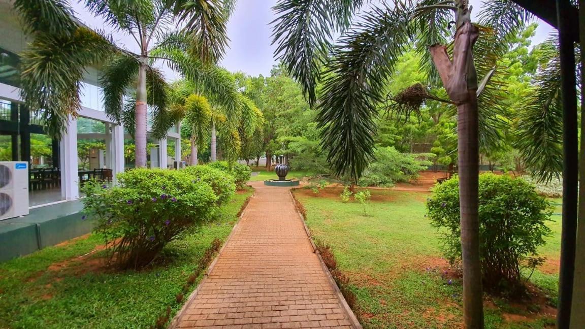 Magampura Eco Village Tissamaharama Buitenkant foto